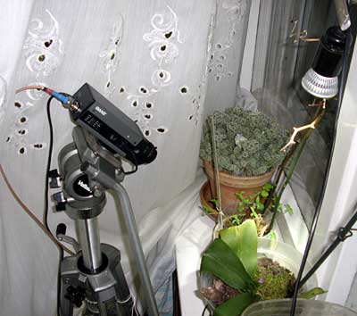 time lapse video system