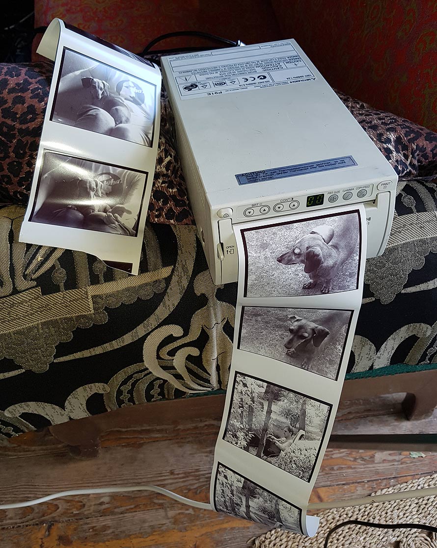 video printer mitsubishi p91 as hipster insta photo mashine