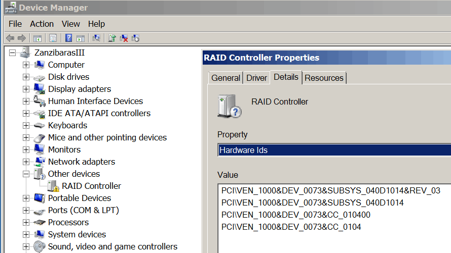 SAS RAID